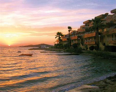 la dorada club marina arpon|ONA MARINA ARPON .